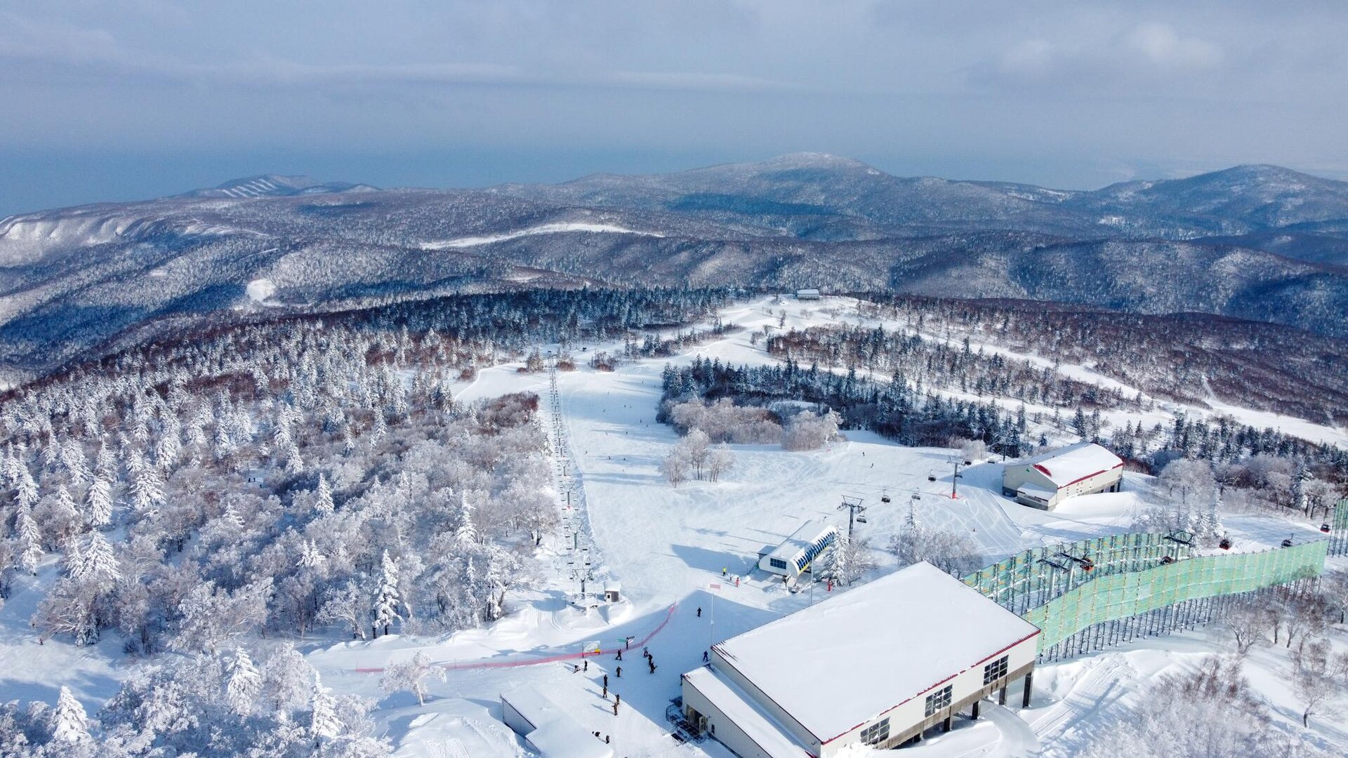 札幌國際 SAPPORO KOKUSAI
